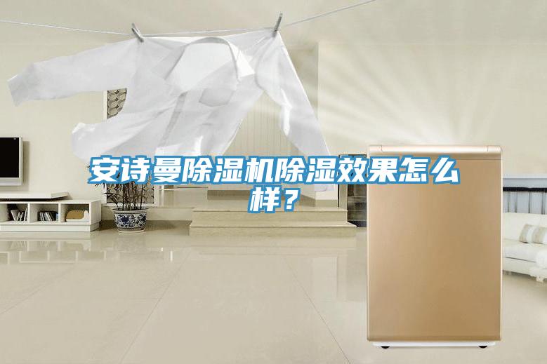 安詩(shī)曼除濕機(jī)除濕效果怎么樣？