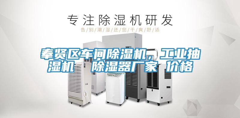 奉賢區車間除濕機，工業抽濕機  除濕器廠家 價格