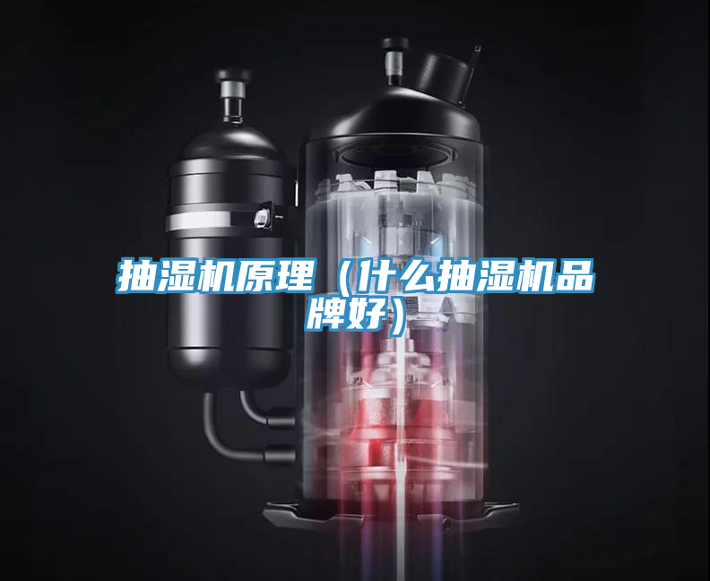 抽濕機原理(什么抽濕機品牌好)