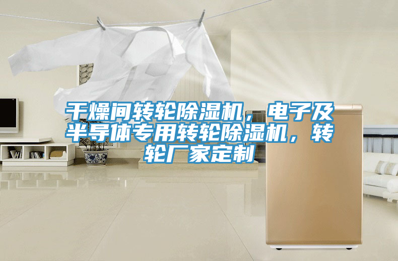 干燥間轉(zhuǎn)輪除濕機(jī)，電子及半導(dǎo)體專用轉(zhuǎn)輪除濕機(jī)，轉(zhuǎn)輪廠家定制