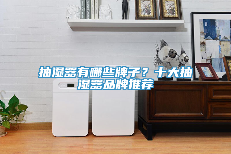 抽濕器有哪些牌子？十大抽濕器品牌推薦