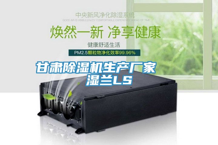 甘肅除濕機生產廠家 濕蘭LS