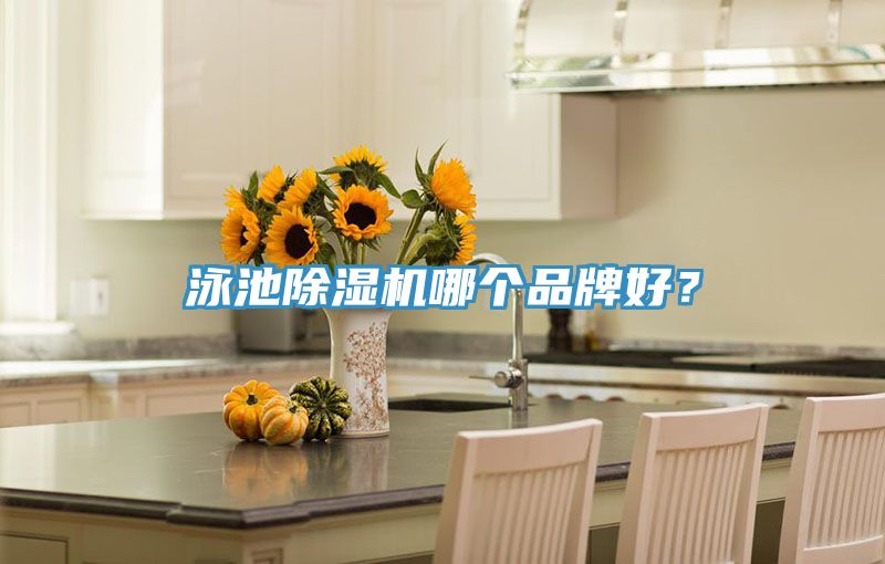 泳池除濕機哪個品牌好?