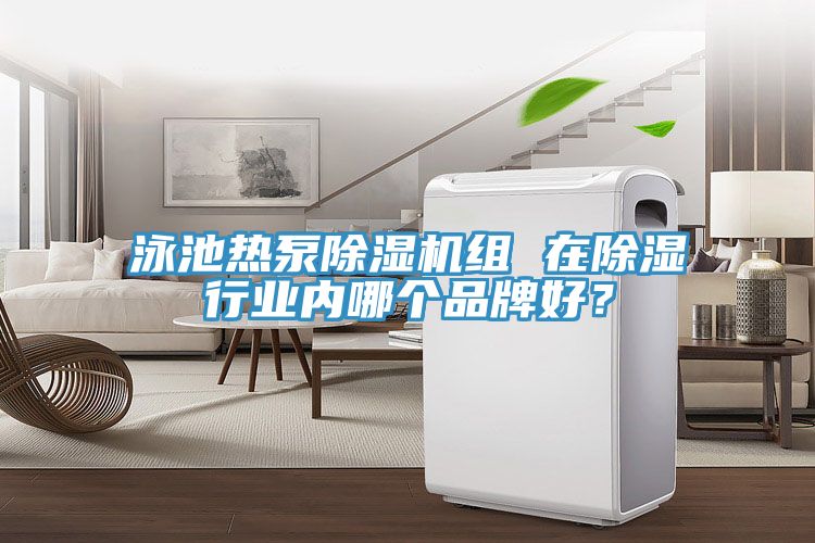 泳池熱泵除濕機組 在除濕行業內哪個品牌好?