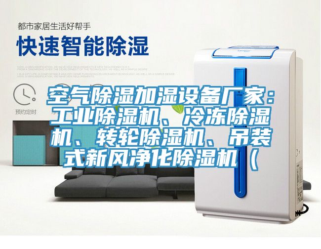 空氣除濕加濕設備廠家：工業除濕機、冷凍除濕機、轉輪除濕機、吊裝式新風凈化除濕機（