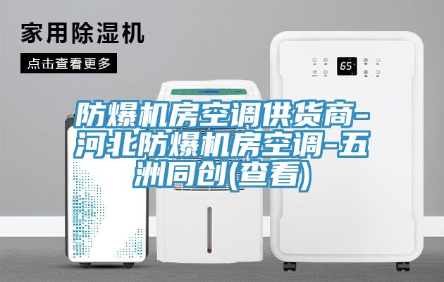 防爆機房空調(diào)供貨商-河北防爆機房空調(diào)-五洲同創(chuàng)(查看)