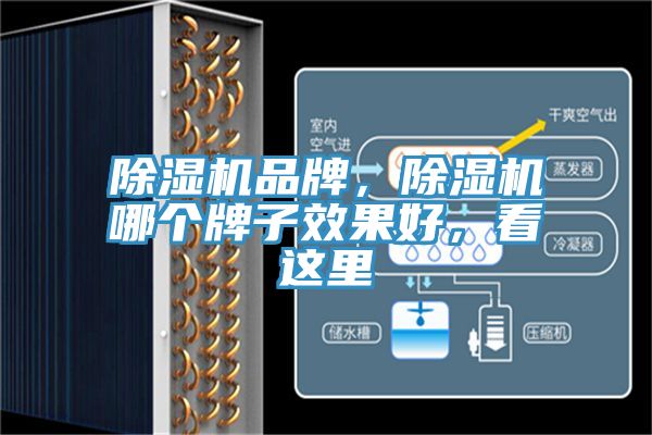 除濕機(jī)品牌，除濕機(jī)哪個(gè)牌子效果好，看這里