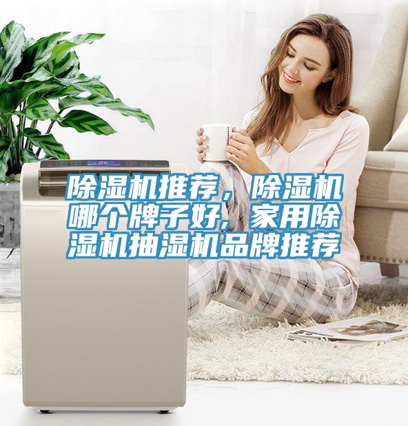除濕機推薦，除濕機哪個牌子好, 家用除濕機抽濕機品牌推薦