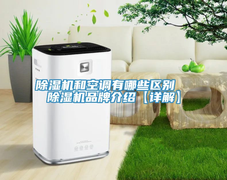 除濕機和空調有哪些區別  除濕機品牌介紹【詳解】