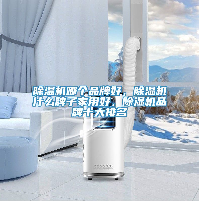 除濕機(jī)哪個(gè)品牌好，除濕機(jī)什么牌子家用好，除濕機(jī)品牌十大排名