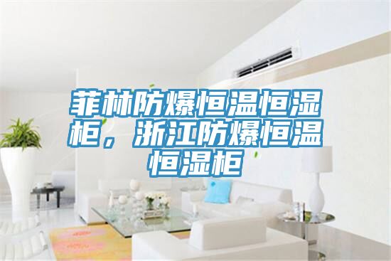 菲林防爆恒溫恒濕柜,浙江防爆恒溫恒濕柜