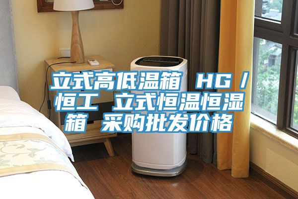 立式高低溫箱 HG／恒工 立式恒溫恒濕箱 采購批發價格