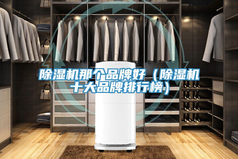 除濕機那個品牌好(除濕機十大品牌排行榜)