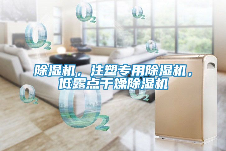 除濕機(jī)，注塑專(zhuān)用除濕機(jī)，低露點(diǎn)干燥除濕機(jī)