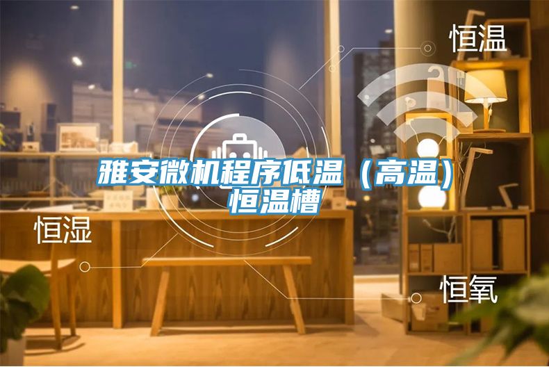 雅安微機(jī)程序低溫(高溫)恒溫槽