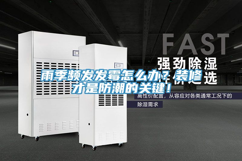 雨季頻發(fā)發(fā)霉怎么辦?裝修才是防潮的關(guān)鍵!
