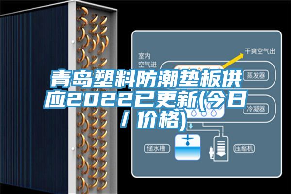 青島塑料防潮墊板供應(yīng)2022已更新(今日/價格)