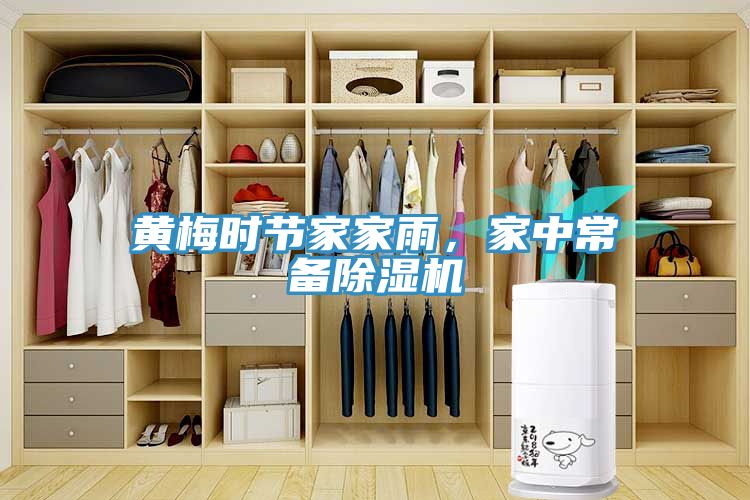 黃梅時節家家雨,家中常備除濕機