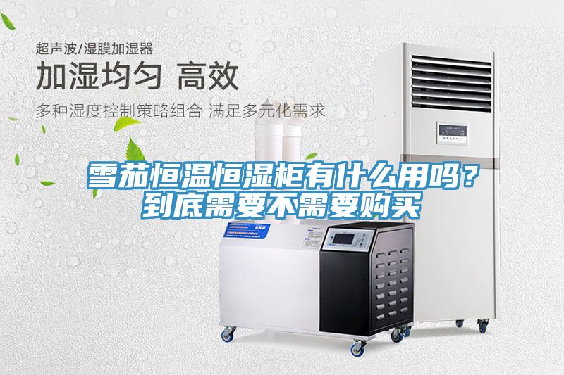 雪茄恒溫恒濕柜有什么用嗎?到底需要不需要購(gòu)買