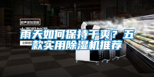 雨天如何保持干爽？五款實用除濕機推薦