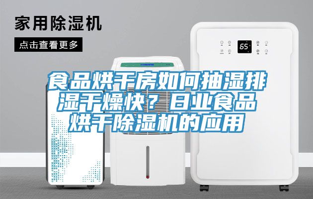 食品烘干房如何抽濕排濕干燥快？日業食品烘干除濕機的應用