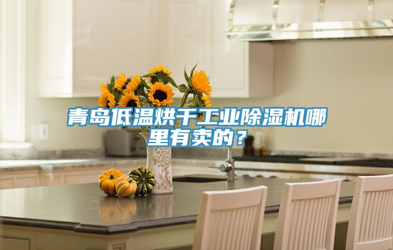 青島低溫烘干工業(yè)除濕機(jī)哪里有賣的?