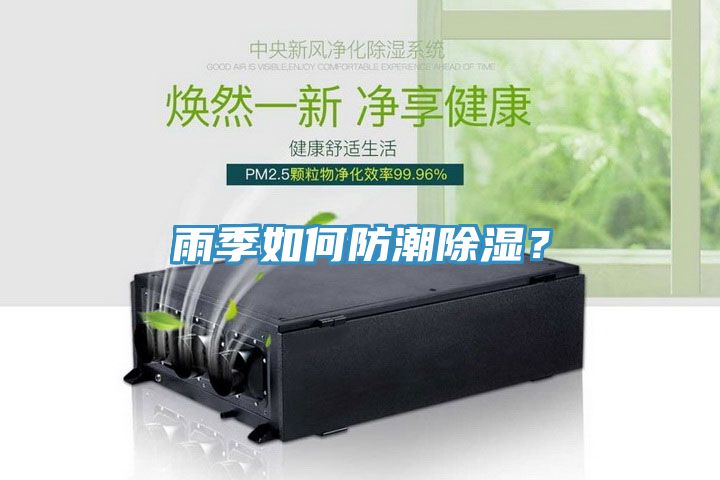 雨季如何防潮除濕？
