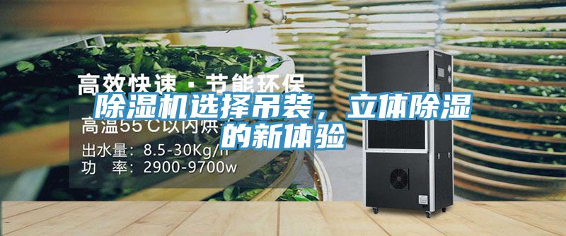 除濕機選擇吊裝，立體除濕的新體驗