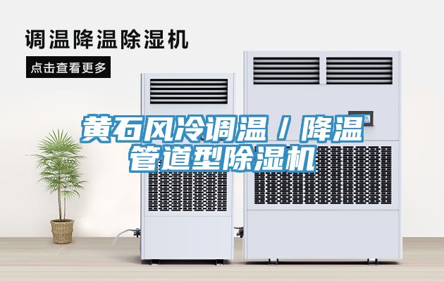 黃石風冷調溫/降溫管道型除濕機