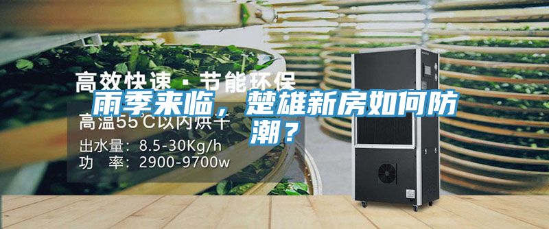 雨季來臨,楚雄新房如何防潮?