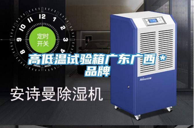 高低溫試驗箱廣東廣西*品牌