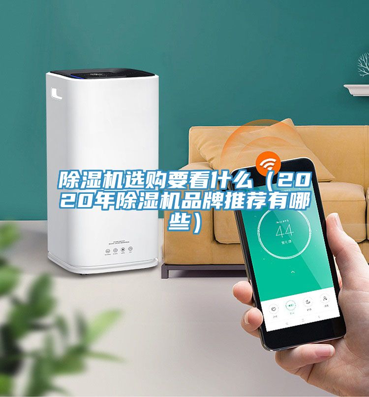 除濕機選購要看什么(2020年除濕機品牌推薦有哪些)